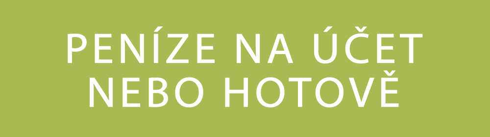 pujcka bez registru